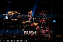 Bush-2025-Koeln-21