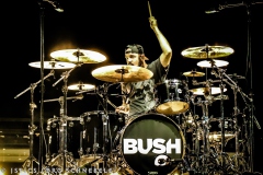 Bush-2025-Koeln-23