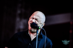 Danko-Jones-2026-Wacken-12