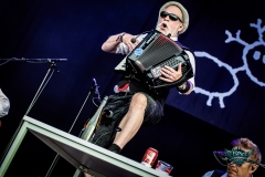 Elaekelaeiset-2026-Wacken-07