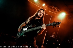 FlowerLeaf-2026-Siegburg-105