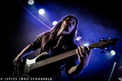 FlowerLeaf-2026-Siegburg-118