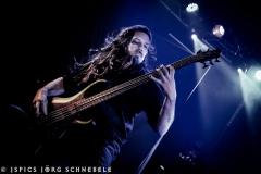 FlowerLeaf-2026-Siegburg-135