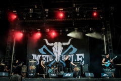 Haine-2026-Wacken-41