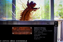Doro-2025-Dinosaurierpark-Emzen-007