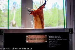 Doro-2025-Dinosaurierpark-Emzen-010