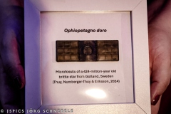 Doro-2025-Dinosaurierpark-Emzen-085