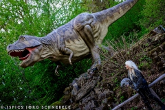 Doro-2025-Dinosaurierpark-Emzen-137