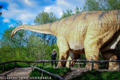 Doro-2025-Dinosaurierpark-Emzen-153
