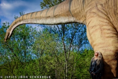 Doro-2025-Dinosaurierpark-Emzen-155
