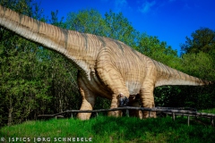 Doro-2025-Dinosaurierpark-Emzen-163