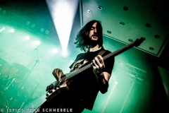 Houndwolf-2025-Dragonslayer-38