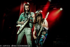 Liverless-2025-ACFM-04