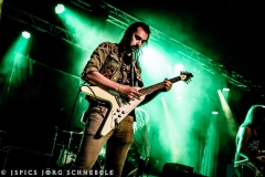Liverless-2025-ACFM-11