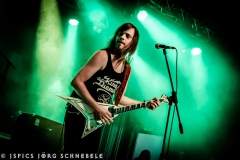 Liverless-2025-ACFM-12