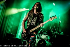 Liverless-2025-ACFM-14