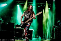 Liverless-2025-ACFM-25