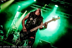 Liverless-2025-ACFM-26