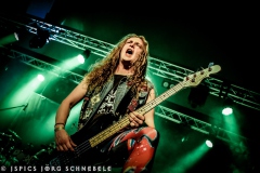 Liverless-2025-ACFM-32