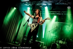 Liverless-2025-ACFM-35