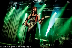 Liverless-2025-ACFM-36