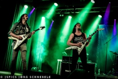 Liverless-2025-ACFM-50