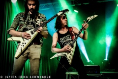 Liverless-2025-ACFM-51
