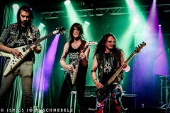 Liverless-2025-ACFM-52