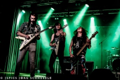 Liverless-2025-ACFM-54