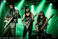 Liverless-2025-ACFM-58