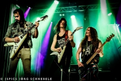 Liverless-2025-ACFM-59