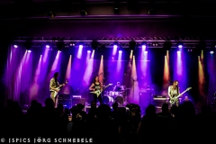 Liverless-2025-ACFM-61