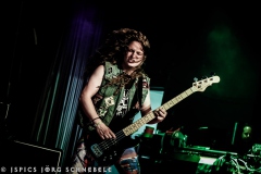 Liverless-2025-ACFM-71
