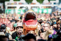 Fans-21026-Wacken-07