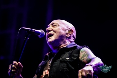 Rose-Tattoo-2026-Wacken-49