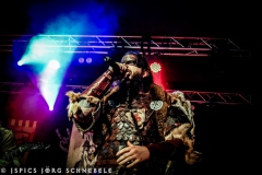 Skelfir-2025-ACFM-002