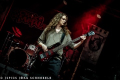 Skelfir-2025-ACFM-060