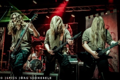 Skelfir-2025-ACFM-063