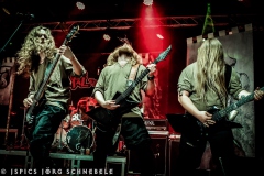 Skelfir-2025-ACFM-064