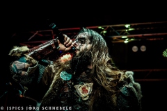 Skelfir-2025-ACFM-067
