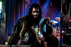 Skelfir-2025-ACFM-084