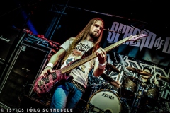 Spread-Of-Disease-2025-Andernach-06