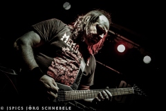 Spread-Of-Disease-2025-Andernach-15