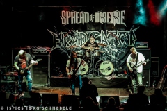 Spread-Of-Disease-2025-Andernach-22