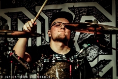 Spread-Of-Disease-2025-Andernach-31