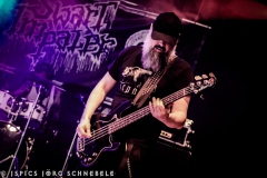 Swart-Impaler-2025-ACFM-0149