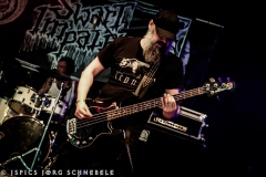 Swart-Impaler-2025-ACFM-0150