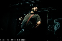 Swart-Impaler-2025-ACFM-0155