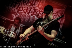 Swart-Impaler-2025-ACFM-0170