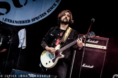 UK-Subs-2025-Wacken-03